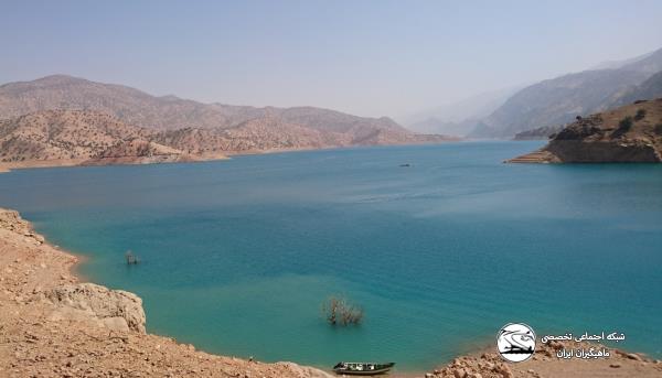 گزارش تصویری از برنامه ماهیگیری در سد کارون 3 - آرش امینی